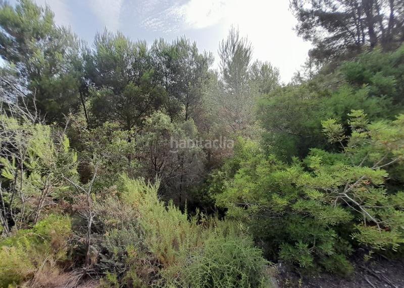 Foto 288a66d5-539c-4aa1-a5b6-468dfbf23045. Terreny residencial a Alginet