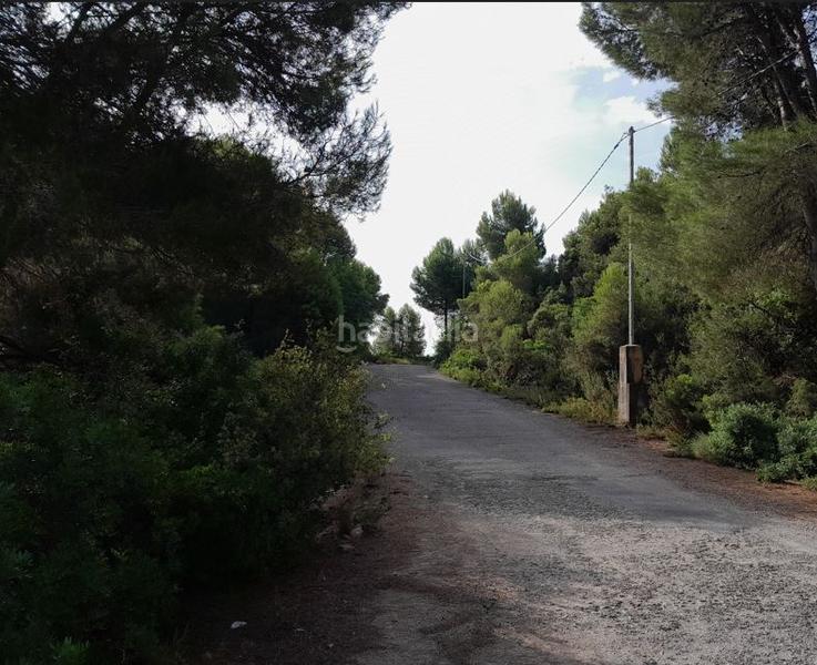 Foto 3a0f0d1e-fdfd-4fb9-931c-bd3bb2906876. Terreny residencial a Alginet