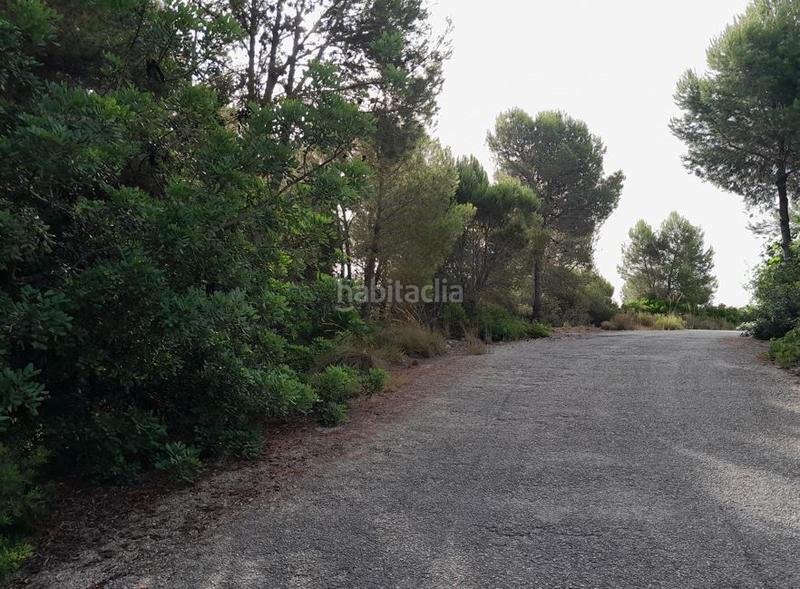 Foto 3e628b19-1fe7-4233-ab3b-ca7f8cc425e9. Terreny residencial a Alginet