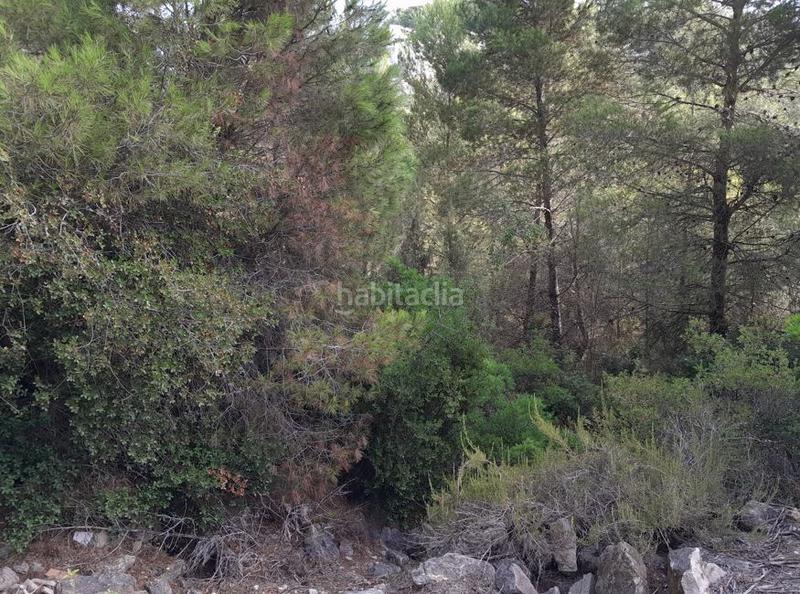 Foto 4f0bdf8a-aeb6-4ced-91e2-e6d764c3ca90. Terreny residencial a Alginet