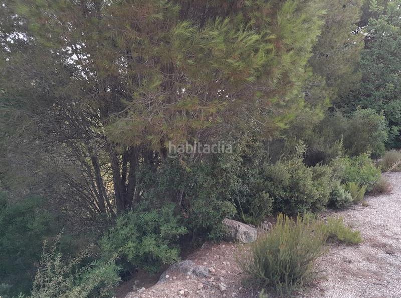 Foto 920239c9-392a-4e57-9ece-7cfaea99758e. Terreny residencial a Alginet