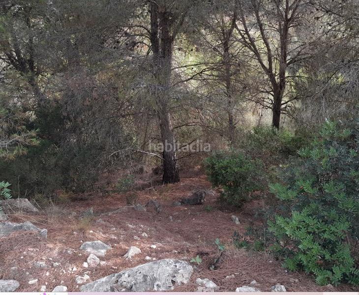 Foto c8740b67-d7f8-491a-8744-4e86e859ee33. Terreny residencial a Alginet