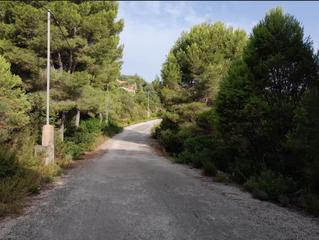 Terreny residencial a Alginet