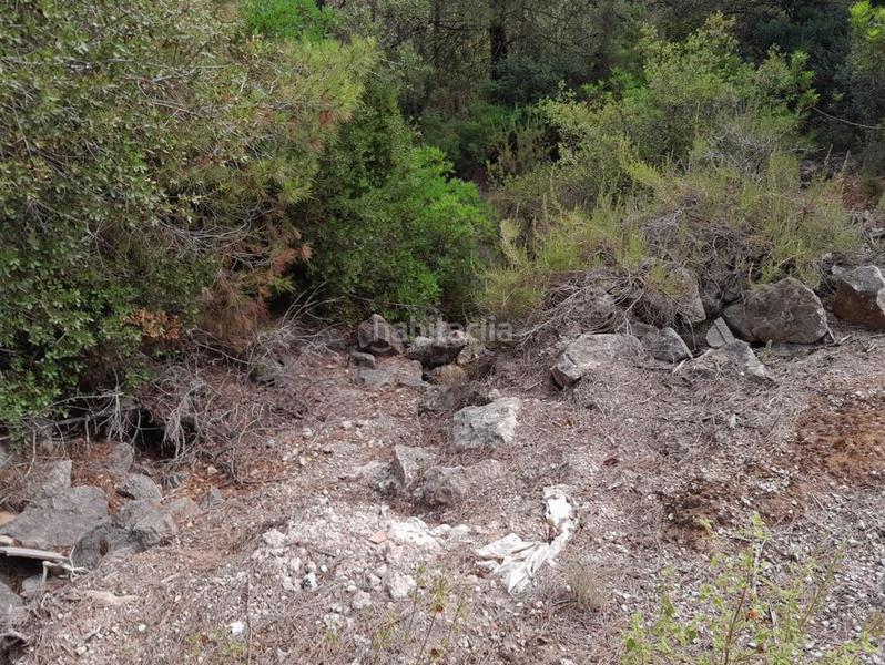 Foto ff32816b-10a6-4b03-98eb-a9abeffb6da4. Terreny residencial a Alginet