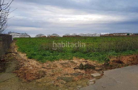 Foto 7d624036-9d18-4340-94a8-b4ef4f9927ef. Terreno residencial en Tordesillas