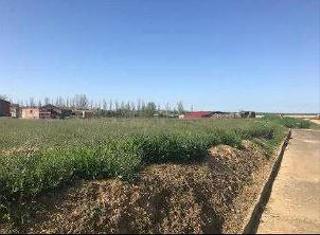 Terreny residencial a Cuenca de Campos