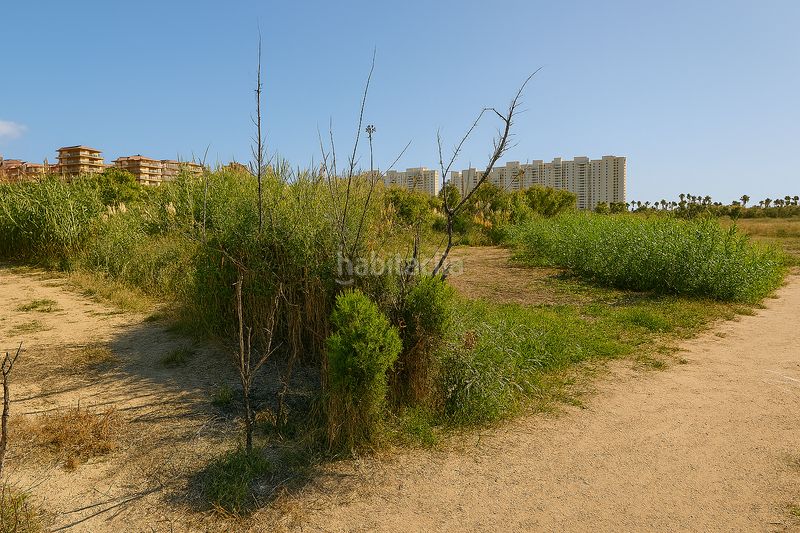 Foto 8e888d45-b609-4109-9d9d-43742330fae4. Terreny residencial a pueblo de Cullera Cullera