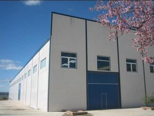 Business premise in Cebolla