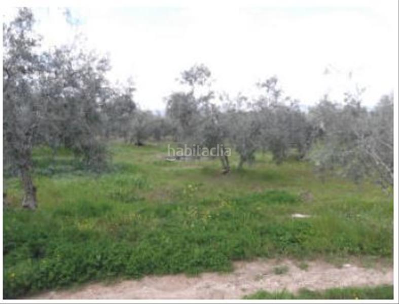 Foto 41dc63ba-fd8c-4ba3-ba2e-6e1a1189e620. Terreno residencial en Zona de la Vega Antequera