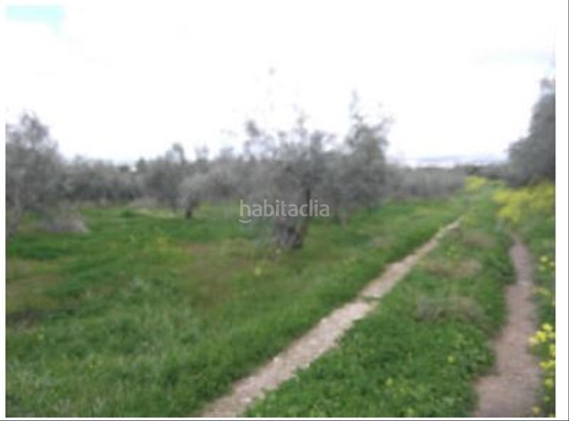 Foto dec233d4-128e-4af5-9fc7-872045b4e9e8. Terreno residencial en Zona de la Vega Antequera