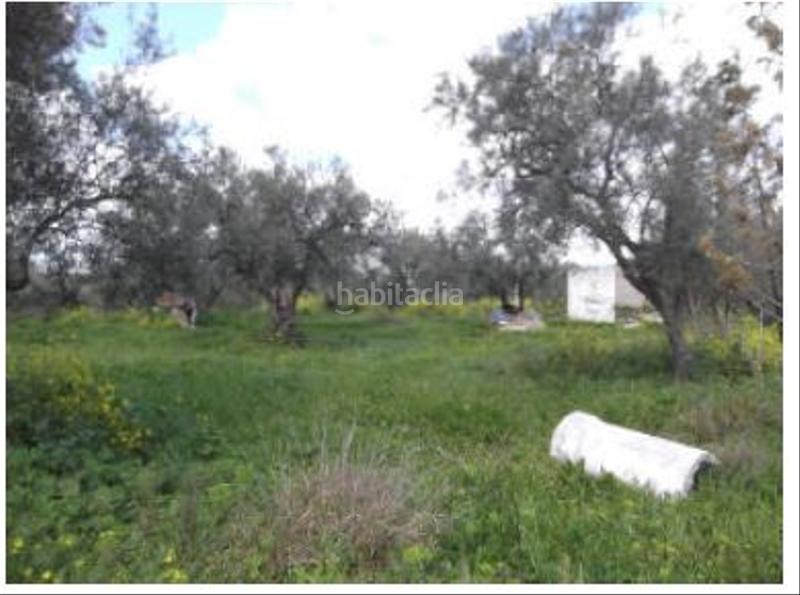 Foto e64aa6f3-8d8f-49a9-9ccd-2d4bb8b65269. Terreno residencial en Zona de la Vega Antequera