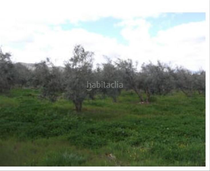 Foto f364b0f7-def9-4160-91bc-cb7660d2b4e0. Terreno residencial en Zona de la Vega Antequera