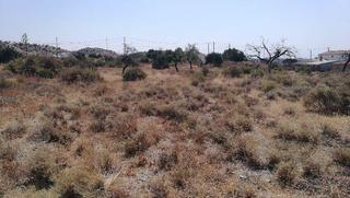Residential Plot in Huércal - Overa