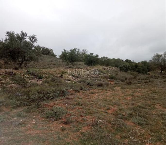 Foto 22e8625e-4b5b-4459-8be6-6fbef3c06b6e. Terreno residencial en Villarejo de Salvanés