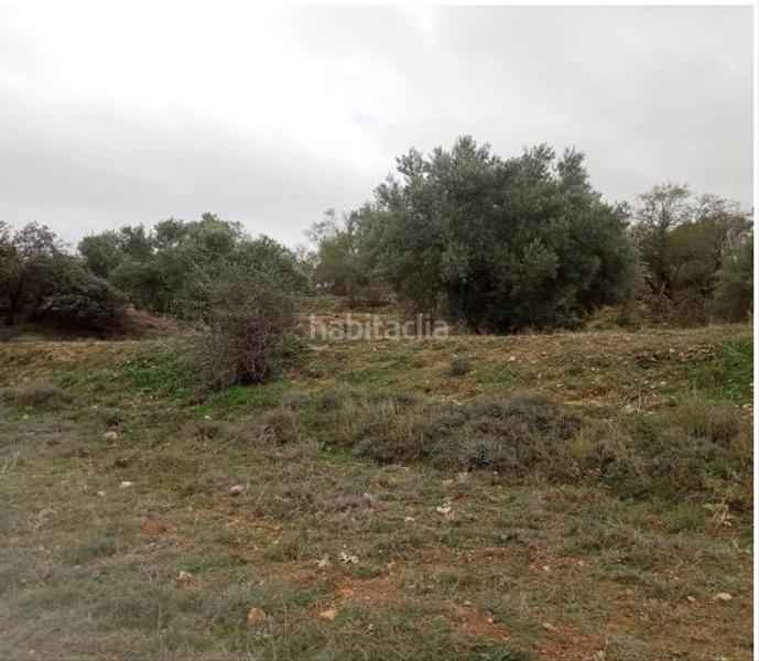 Foto 3e2ca6e9-4f47-4585-a8c1-a77670cd597b. Terreno residencial en Villarejo de Salvanés