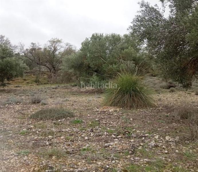 Foto 4b07ae1d-bcd3-49ac-b28b-ecf0a4a73ab2. Terreno residencial en Villarejo de Salvanés