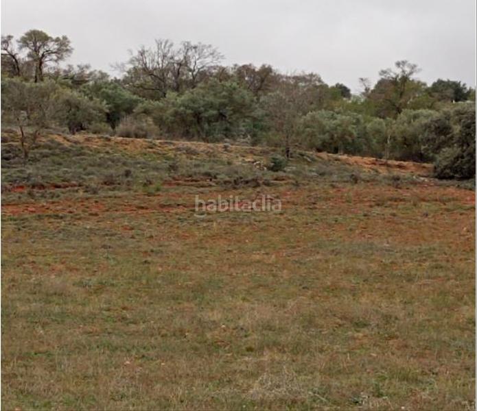 Foto 863b3f56-1aa5-459f-918d-d78cf7256dd8. Terreno residencial en Villarejo de Salvanés