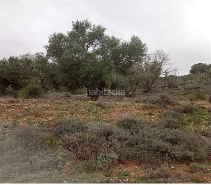 Foto af372180-b145-400e-a61b-6137988f71ba. Terreno residencial en Villarejo de Salvanés