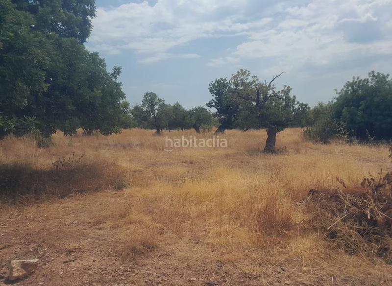 Foto 0b9ee787-9458-4cda-a6c7-00fcdeb1ec77. Terreny residencial a Petrés