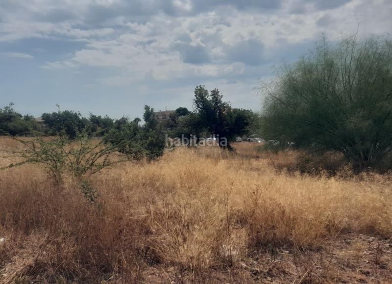 Foto 0f0dd600-4d6d-44f4-98e8-41ec25be425a. Terreny residencial a Petrés