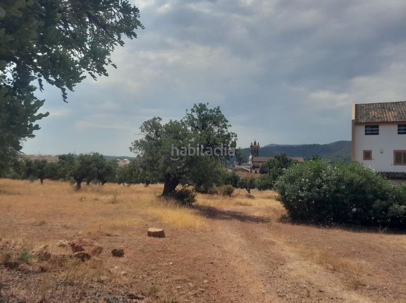 Foto 90e82da5-c2fa-432e-80c4-fe89649034fa. Terreny residencial a Petrés