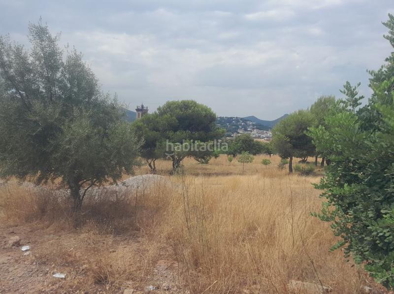 Foto a3c079d6-f715-483b-b399-d4ec53c850ae. Terreny residencial a Petrés