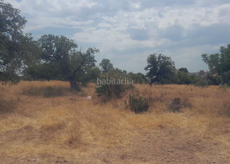 Foto a8efc72a-0c81-4873-9647-6db0cf8c9b2a. Terreny residencial a Petrés