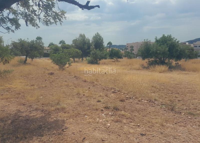 Foto c7c238e4-2374-4b0f-82fb-2c79d7b48e32. Terreny residencial a Petrés