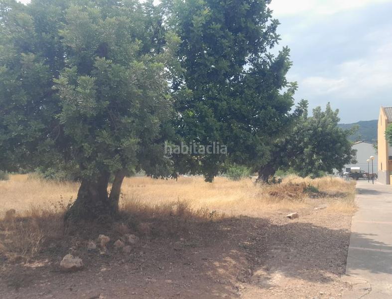 Foto cdb90674-c3aa-4868-8391-4c3eb34fd67a. Terreny residencial a Petrés