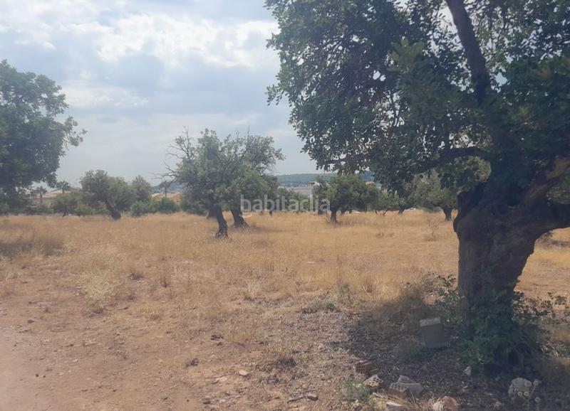 Foto dd11e87b-5fba-4c6f-90cd-a8430af2e058. Terreny residencial a Petrés