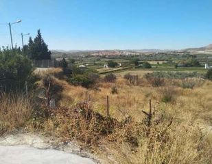 Terreno residenziale in Ayuntamiento