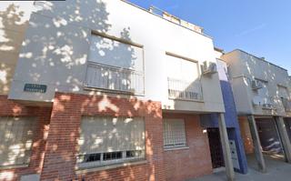 Pis a Santa María - Pío XII