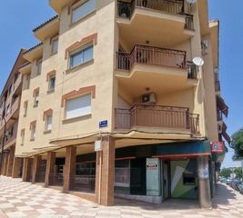 Local Comercial a PAU 2-600