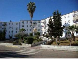 Pis a Olivenza