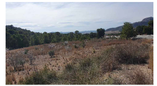 Terreno residenziale in Hellín