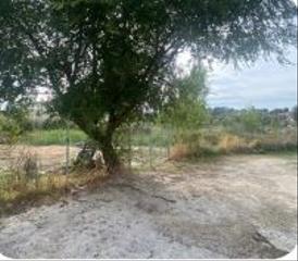 Pis a Los Robles
