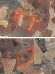 Terreno residenziale in Torrenueva
