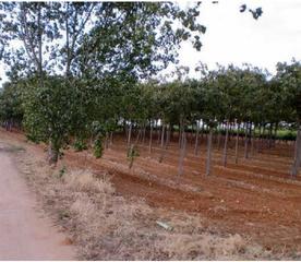 Residential Plot in Villarrobledo