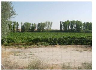 Residential Plot in Arcicóllar