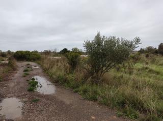 Residential Plot in Centro