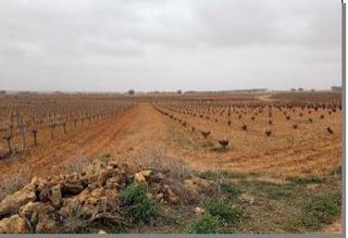 Terreno residenziale in Villagarcía del Llano