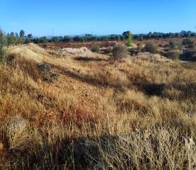 Terreny residencial a Navalvillar de Pela