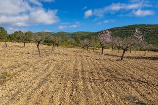 Wohngrundstück in Font de la Figuera (la)