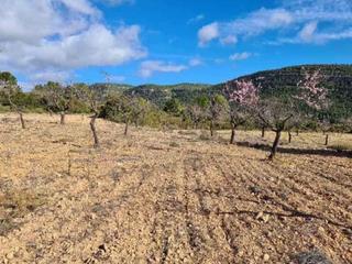 Terreno residenziale in Font de la Figuera (la)