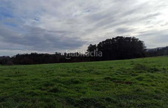 Foto bac0348a-71ef-403a-9e0b-8acfe06d836a. Terreny residencial a Carranza