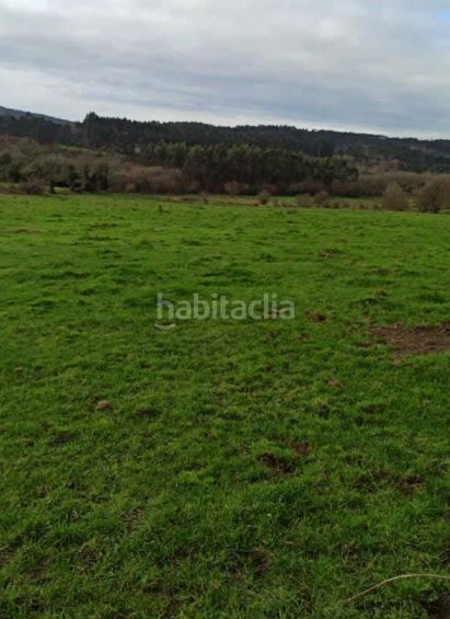 Foto fd12649d-399a-4db9-a4a8-351cac4ff047. Terreny residencial a Carranza