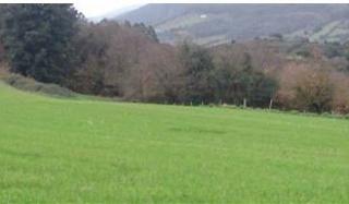 Residential Plot in Allande