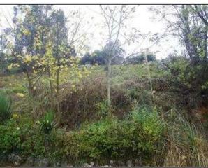 Residential Plot in Allande