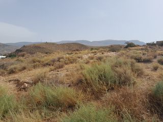 Residential Plot in Berja