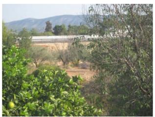 Terreny residencial a Canals